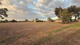 24482 Julian Court - Photo 5