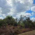  24th Avenue - Photo 3
