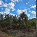  24th Avenue - Photo 5