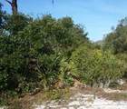 922 Aster Street - Photo 2
