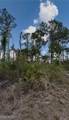 3703 7th Street - Photo 14