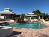 13317 Queen Palm Run - Photo 23