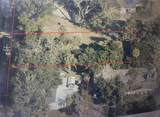 1412 Piney Road - Photo 1