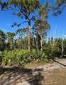 7000 Guava Avenue - Photo 11