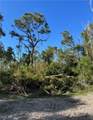 7000 Guava Avenue - Photo 6