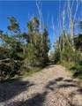 7000 Guava Avenue - Photo 7