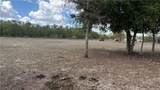 3931 2nd Avenue - Photo 5
