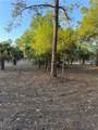 535 Kennel Street - Photo 6
