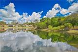 15007 Ligustrum Lane - Photo 8