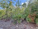 7101 Guava Avenue - Photo 4