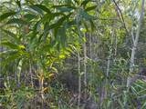 7101 Guava Avenue - Photo 7