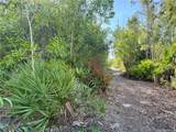 7091 Guava Avenue - Photo 5