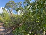 7091 Guava Avenue - Photo 8