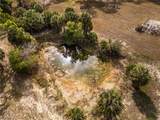 3680 Double J Acres Road - Photo 24