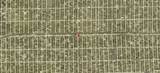 313/315 12th Street - Photo 2