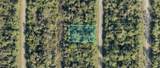 1125230813 Annatto Street - Photo 1