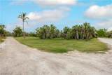 393 & 401 Raintree Place - Photo 6