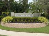 15567 Caloosa Creek Circle - Photo 39