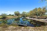 1767 Pollywog Crossover Road - Photo 24