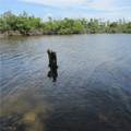 4195 Pine Island Road - Photo 17