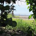 4195 Pine Island Road - Photo 18