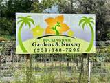 9320 Buckingham Road - Photo 29