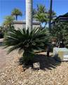 5230 Pineland Daisy Trail - Photo 1