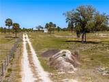 18020 Caloosa Ridge Road - Photo 14