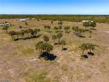 18020 Caloosa Ridge Road - Photo 15