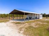 18020 Caloosa Ridge Road - Photo 19