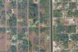 4500 19th Street - Photo 5