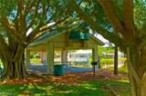 14501 Daffodil Drive - Photo 34