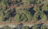 3605 3rd Street - Photo 4