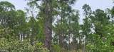 27274 Green Gulf Boulevard - Photo 2