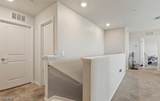 10804 Firebush Circle - Photo 9