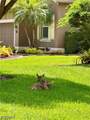 20561 Larino Loop - Photo 41