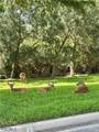 20561 Larino Loop - Photo 42