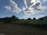 7031 Calder Circle - Photo 4
