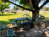 25342 Jubal Street - Photo 5
