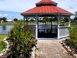 25342 Jubal Street - Photo 6
