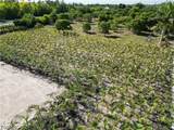 11851 Stringfellow Road - Photo 6