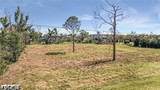 4695 Gulf Shore Road - Photo 3