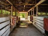 10351 Deal Road - Photo 17
