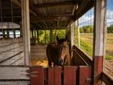 10351 Deal Road - Photo 18