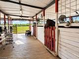 10351 Deal Road - Photo 22