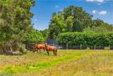 6670 Pangola Road - Photo 41