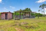 6670 Pangola Road - Photo 42