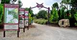 42203 Hammock Lane - Photo 44