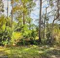 719 Foxtail Street - Photo 1