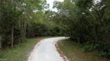 7176 Norway Street - Photo 6